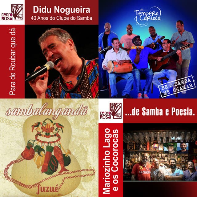 Portfólio Cedro Rosa Digital