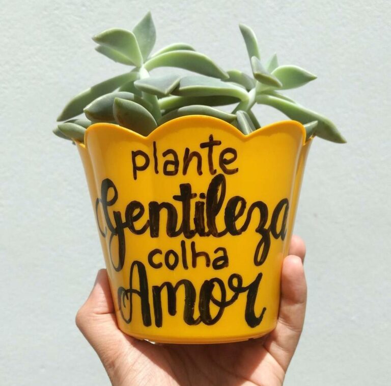 Portfólio Nectrospéctro