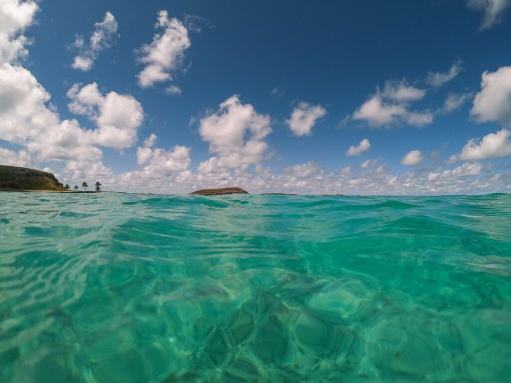 Hotspot de Sociobiodiversidade: o que é e por que a Região dos Abrolhos recebe esse título?