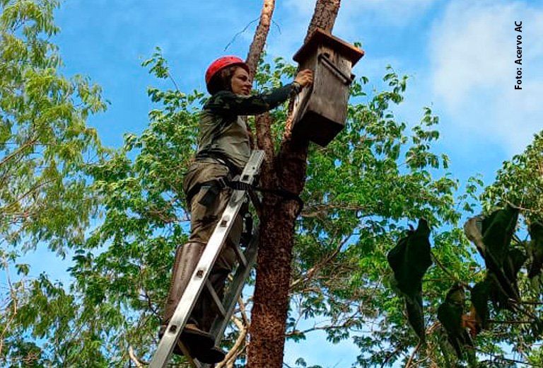 Ariane Ferreira: a cientista catarinense que voou pelo Brasil e pousou na Caatinga