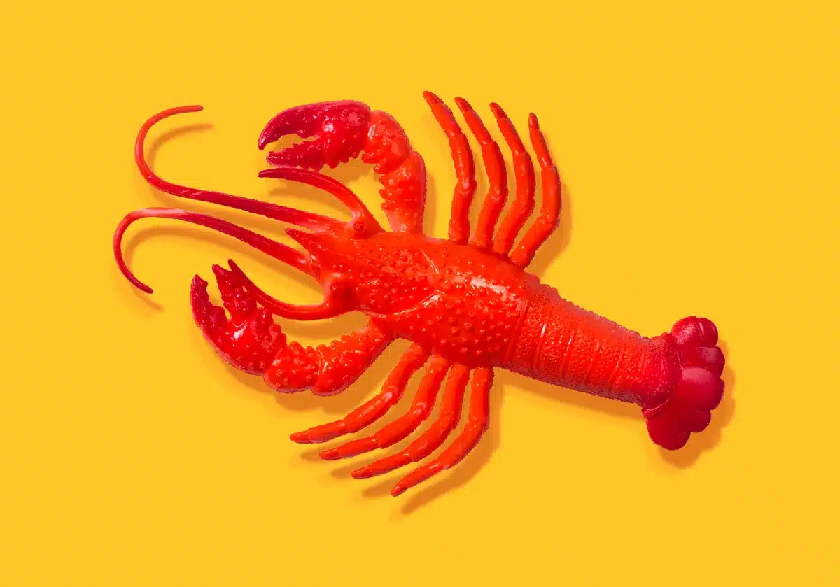 Depois do Hype, Especialistas Avisam: OpenClaw Pode Não Ser a Revolução em IA Que Muitos Prometem
