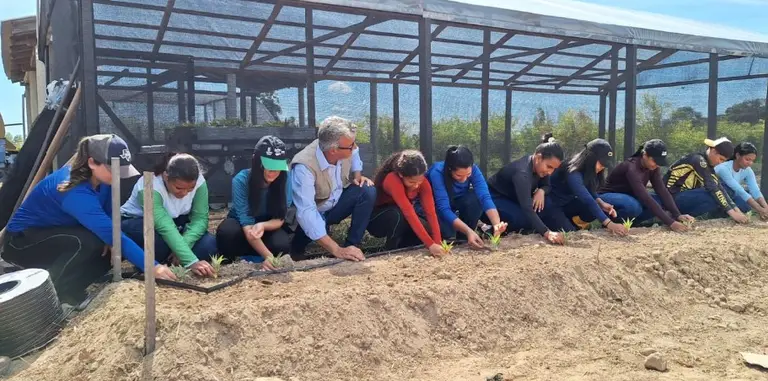 Governo investe em programa de soberania alimentar na terra indígena Yanomami