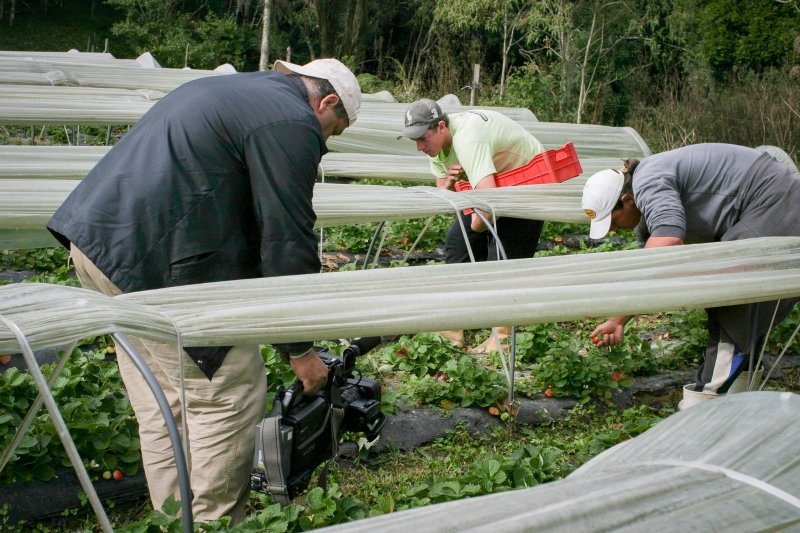 SC institui Política Estadual de Compras Governamentais da Agricultura Familiar
