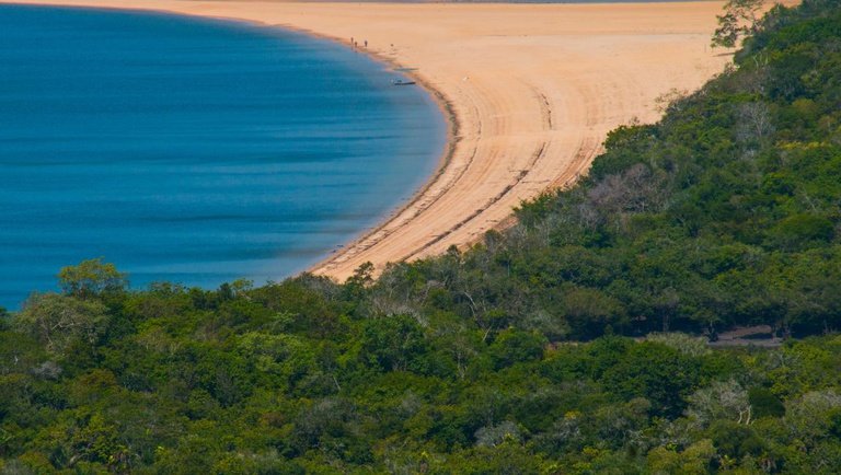 Alter do Chão surpreende com praias de areia branca e águas mornas no coração da floresta