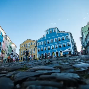 41036386982_a2cb3fa217_o