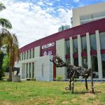 celeirocriativo_foto_dayseeuzebio-64